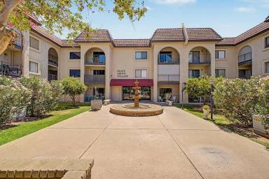 Main picture of Olive Grove Village