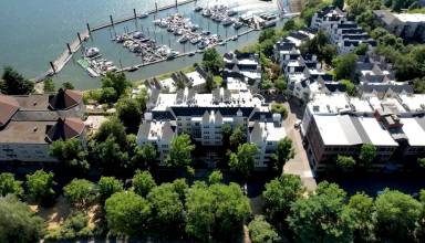 Main picture of The Douglas