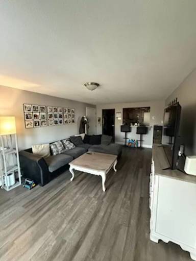 Main picture of 1 Silvestri Cir