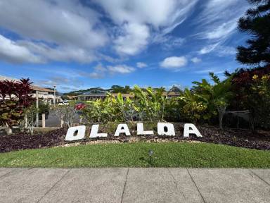 Main picture of Olaloa