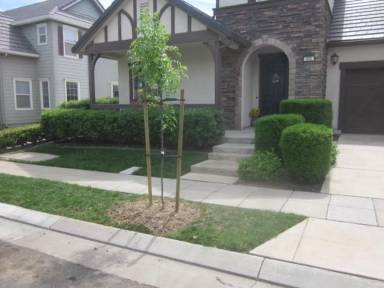 Main picture of 352 W Camarada Ct