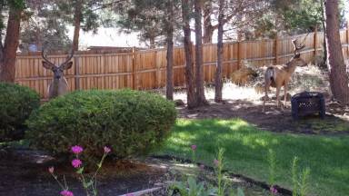 Main picture of 1133 NE Hidden Valley Dr