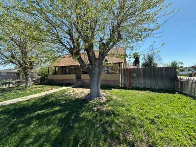 Main picture of 337 Harding Ave