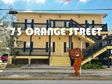 Main picture of 73 Orange St