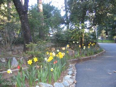 Main picture of 26578 Meadow Vista Ln