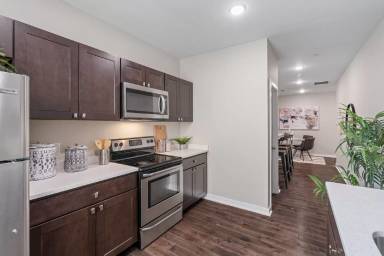 Main picture of Temple Apartments