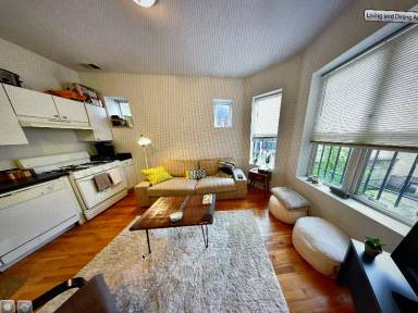 Main picture of 1022 N Damen Ave