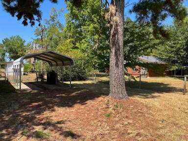 Main picture of 9468 McAdoo St