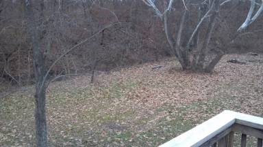 Main picture of 6650 W Sugar Creek Dr