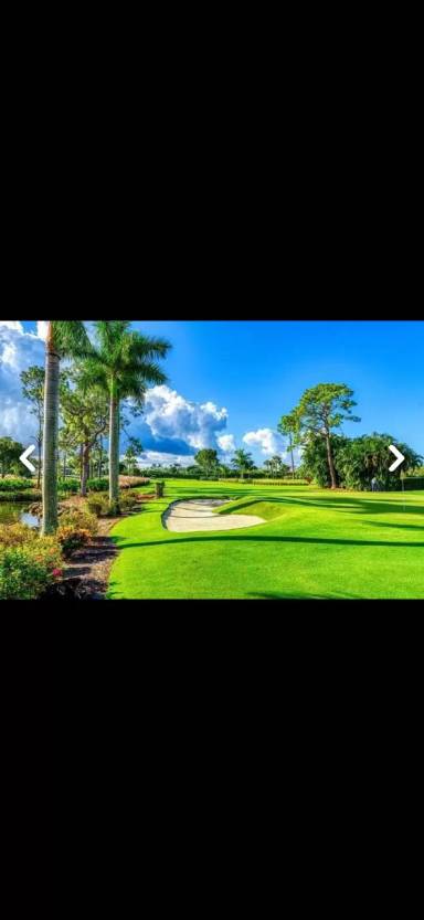 Main picture of 175 Palm Dr