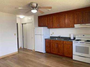 Main picture of 1312 Alapai St