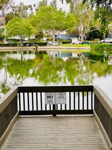 Main picture of 29765 Millpond Ct