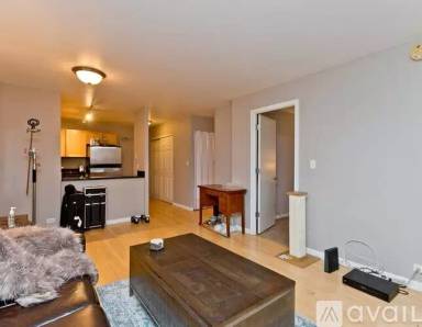 Main picture of 222 E Pearson Condominiums