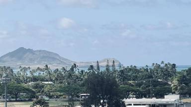 Main picture of Windward Passage