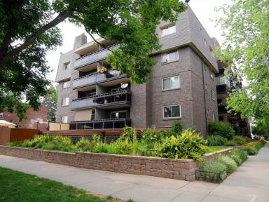 Main picture of Ogden Street