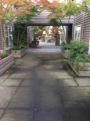 Main picture of Madison 1922 42 Ct Ave