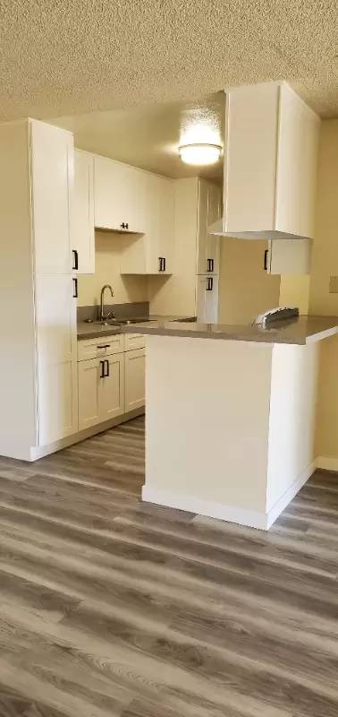 Main picture of Casa Colima Apartments