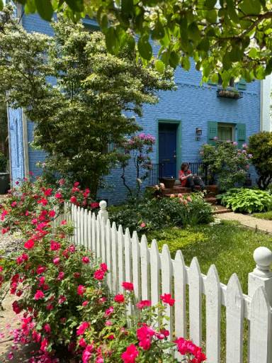 Main picture of 4514 Albemarle St NW