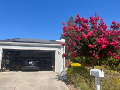 Main picture of 317 Flaming Oak Dr