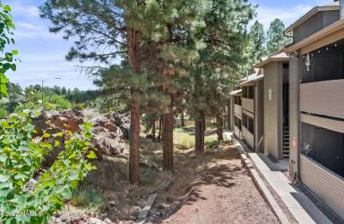 Main picture of Biltmore Pines