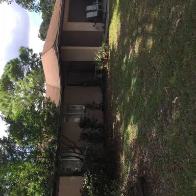 Main picture of 317 Shadow Oak Dr