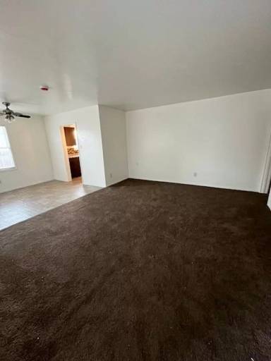 Main picture of 229 T St