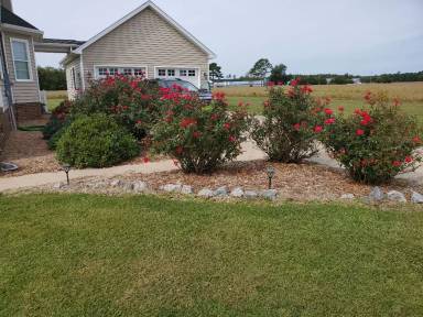 Main picture of 505 Acorn Hill Rd