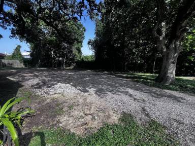 Main picture of 1505 Echols St