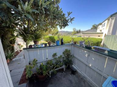 Main picture of 1937 Terracina Cir