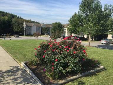 Main picture of 25 Maybelle Ln