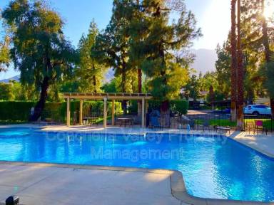 Main picture of Palm Springs Oasis