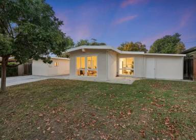 Main picture of 2331 Castro Pl