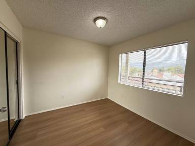Main picture of 541 Ivy St