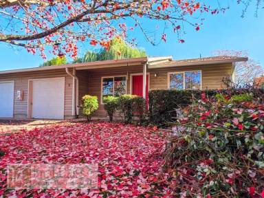 Main picture of 2226 19th Ave