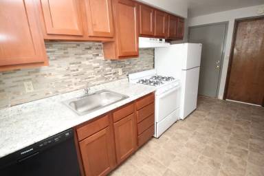 Main picture of DITHRIDGE 265 -- 196 - 6