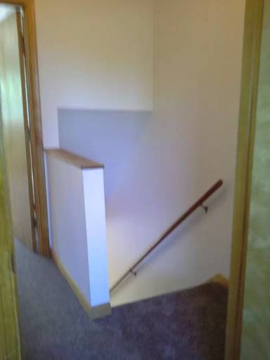 Main picture of 336 Grape St