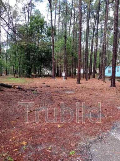 Main picture of 242 Bent Tree Cir
