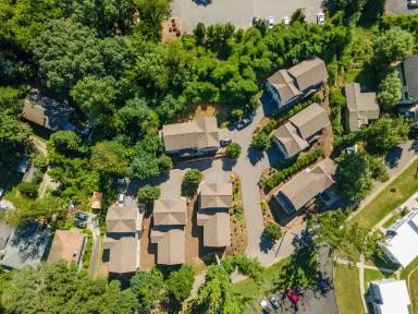 Main picture of 21 Plant Pl