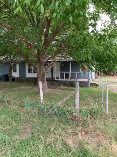 Main picture of 31 Dandelion St