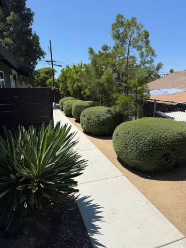 Main picture of 1329 E 5th St
