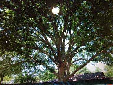Main picture of 1306 Chippewa Dr