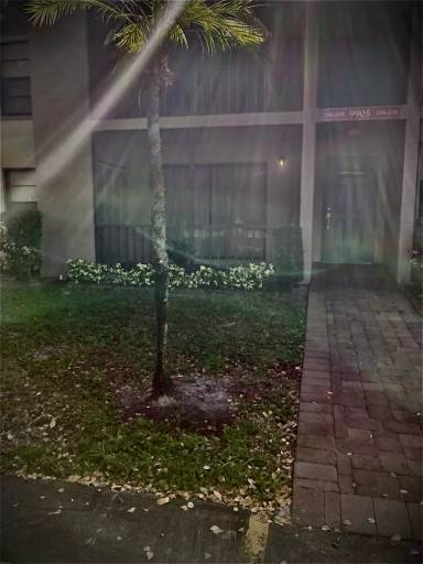 Main picture of 9905 Pineapple Tree Dr
