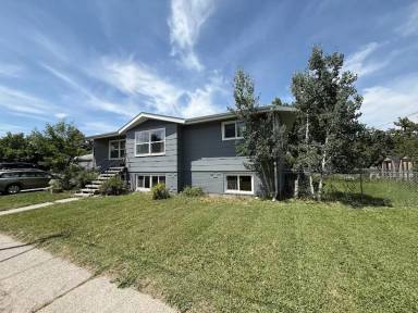 Main picture of 825 W Villard St
