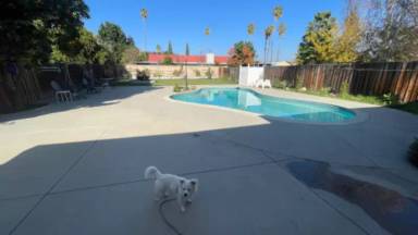 Main picture of 20029 Ingomar St