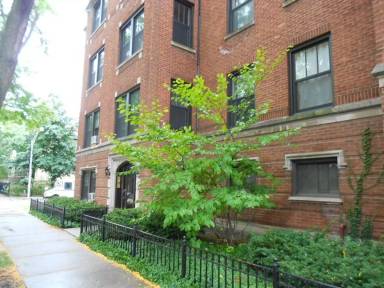 Main picture of 5100-10 N Glenwood Ave & 1402 W Carmen Ave Apartments