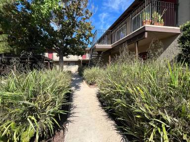 Main picture of 135 Rose Ct