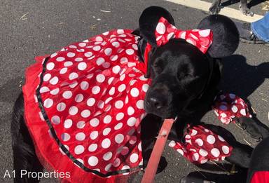 Main picture of 219 Pleasant Valley Rd