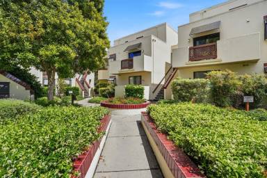 Main picture of 108 Shorebird Cir