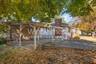 Main picture of 408 Irene Pl