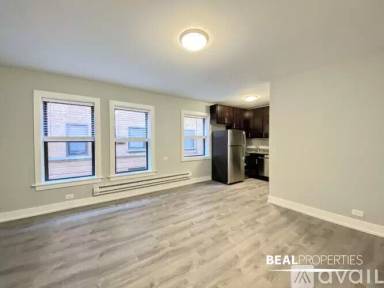 Main picture of 815-23 W Cornelia Ave
